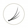 BL LASHES Flare Lash Point - Acentuação