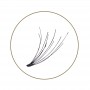 BL Lashes Flare Lash Knot Free