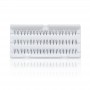 BL Lashes Flare Lash Knot Free