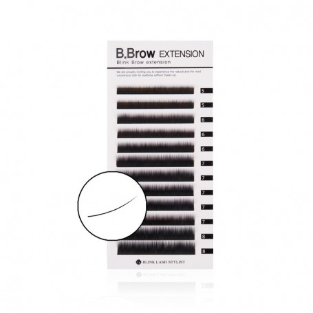 BL Lashes B.Brow Extensions