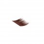 BL Lashes B.Brow Extensions