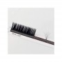 BL Lashes Volume C-krul