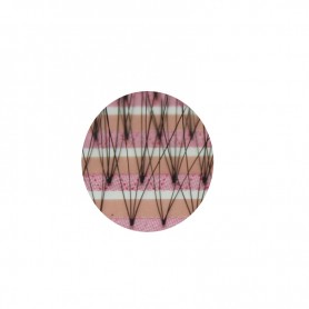 Neicha Bouquet of Rose 4D Lashes B-krul MIX